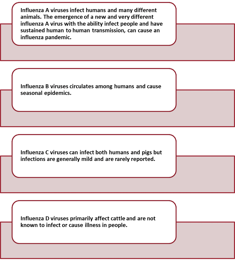 types of influenza