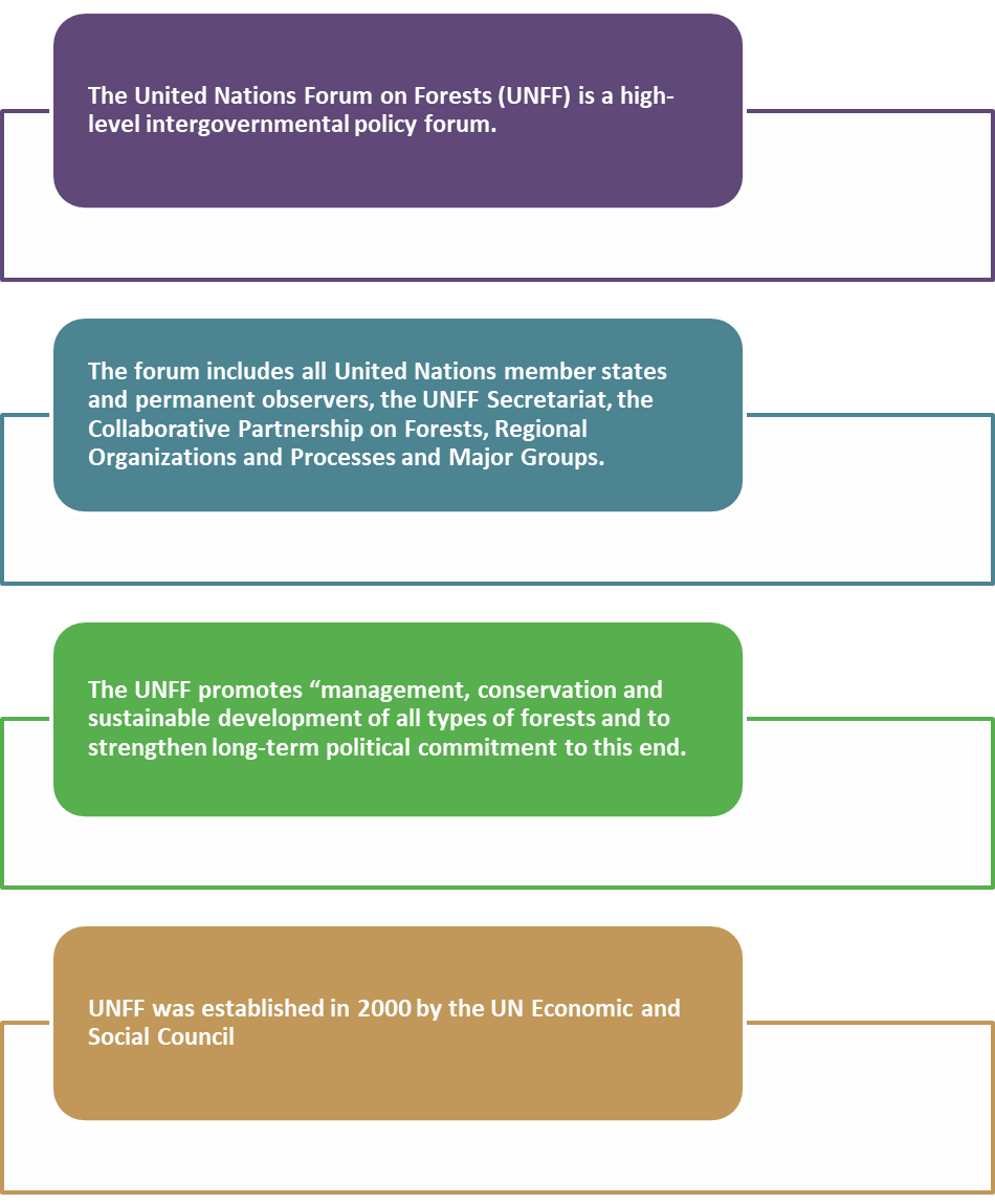 About United Nations Forum on Forests