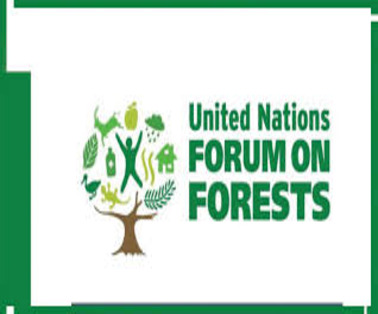 United Nations Forum on Forests