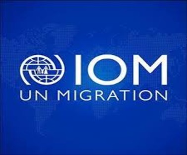 International Organization for Migration