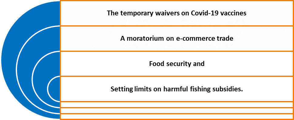 Discussions at 12th Ministerial Conference of WTO