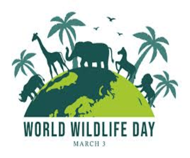 World Wildlife Day