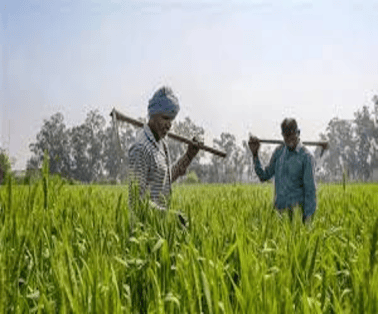 PM Kisan