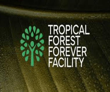 Tropical Forest Fund