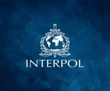 Interpol Blue Corner Notice